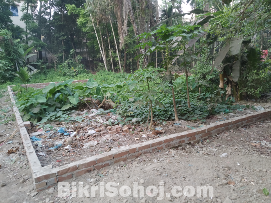 রেডি প্লট (৬ শতাংশ)